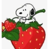 Snoopy🐾 8