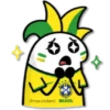Brasil Flork🇧🇷⚽ 17