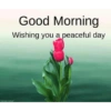 Good morning 19