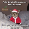Chisme 20