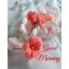 Good morning 16