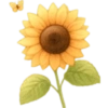 Flores Amarillas 🌻🌻 13