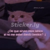 Para ligar bonito 30