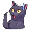 Black Cat 5