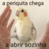Memes safados 9