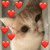 Reações de amor... 14
