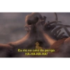 Meu 17