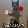 Reações prontas🤭👇 12