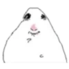 Hamster 1 13