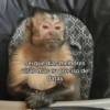 Memes aleatórios 12