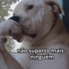 Memes aleatórios 6