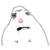 Hamster 1 21