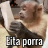 Reações prontas🤭👇 14
