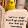 Memes aleatórios 7