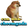 Verano de 2023 8