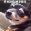 Meu 5