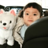 Korean baby 25