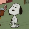 Snoopy 🫣 8