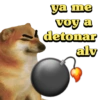Verano de 2023 17