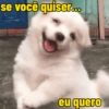 Memes safados 13
