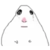 Hamster 1 20