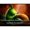 Nuevo momos 21