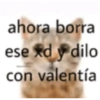 Nuevo momos 16