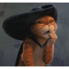 La gato del botas 2 7