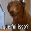 Reações prontas🤭👇 11