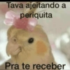 Memes safados 10