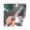 Hmm 6