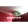 Nuevos 28