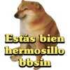 Verano de 2023 9