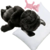 Miau miau core 27