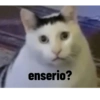 Animales ramdom 20