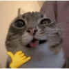 Papagallo 11