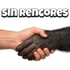 Pack Random Memes 6/6 🇦🇷 17
