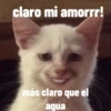 Animales ramdom 23