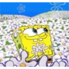 Bob esponja. 🧽 8