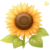 Flores Amarillas 🌻🌻 5