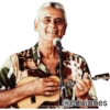 Músicos BR 1 28