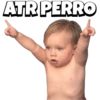 Pack Random Memes 6/6 🇦🇷 21