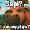 orang manuk iki😹😑 12