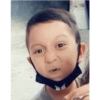 Momos 4