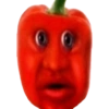 Papagallo 14