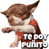Pack Random Memes 6/6 🇦🇷 13