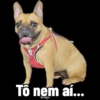 Novo 5
