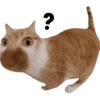 Miau miau core 26