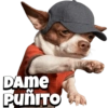 Pack Random Memes 6/6 🇦🇷 12