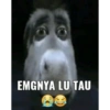 Orang hitam 27